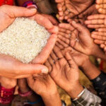 ਅਮਰੀਕਾ ਦੀ ਸਖ਼ਤ ਇਮੀਗ੍ਰੇਸ਼ਨ ਕਾਰਵਾਈ ਕਾਰਨ ਕਈ ਪਰਿਵਾਰ ”ਅਮਰੀਕਨ ਡਰੀਮ” ਛੱਡਣ ਲਈ ਮਜਬੂਰ